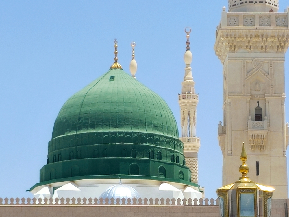 معرض الصور