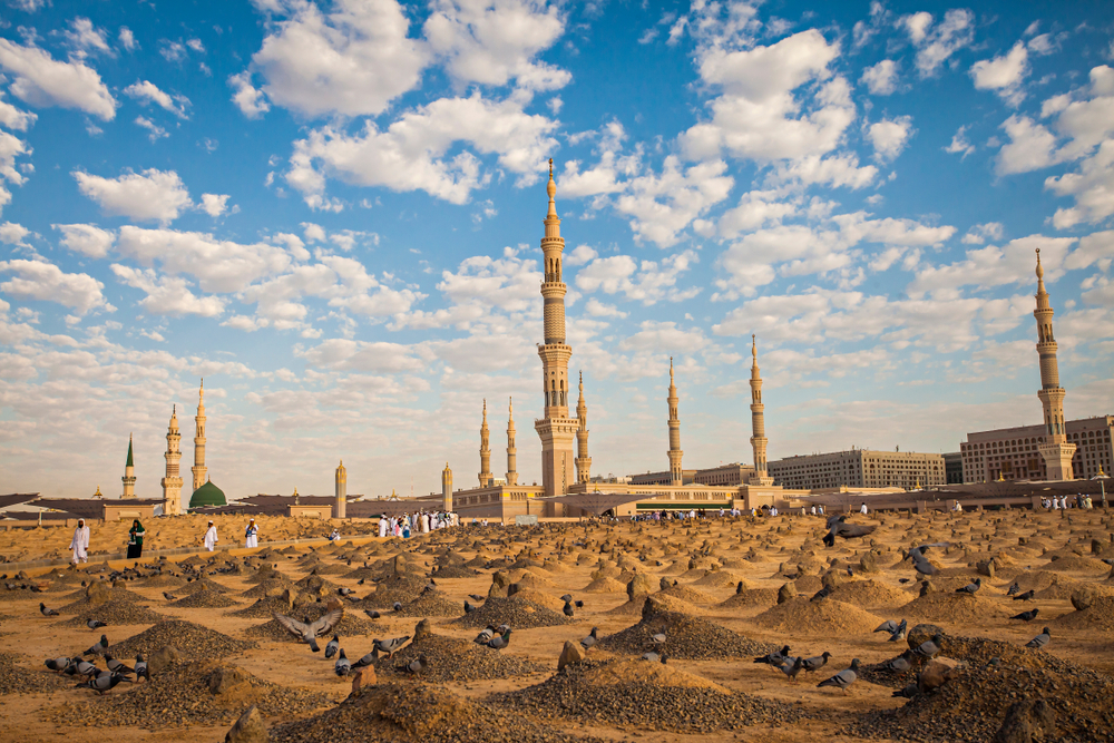 معرض الصور