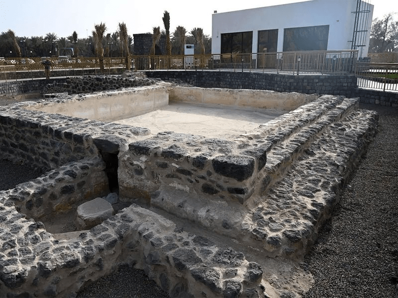 معرض الصور