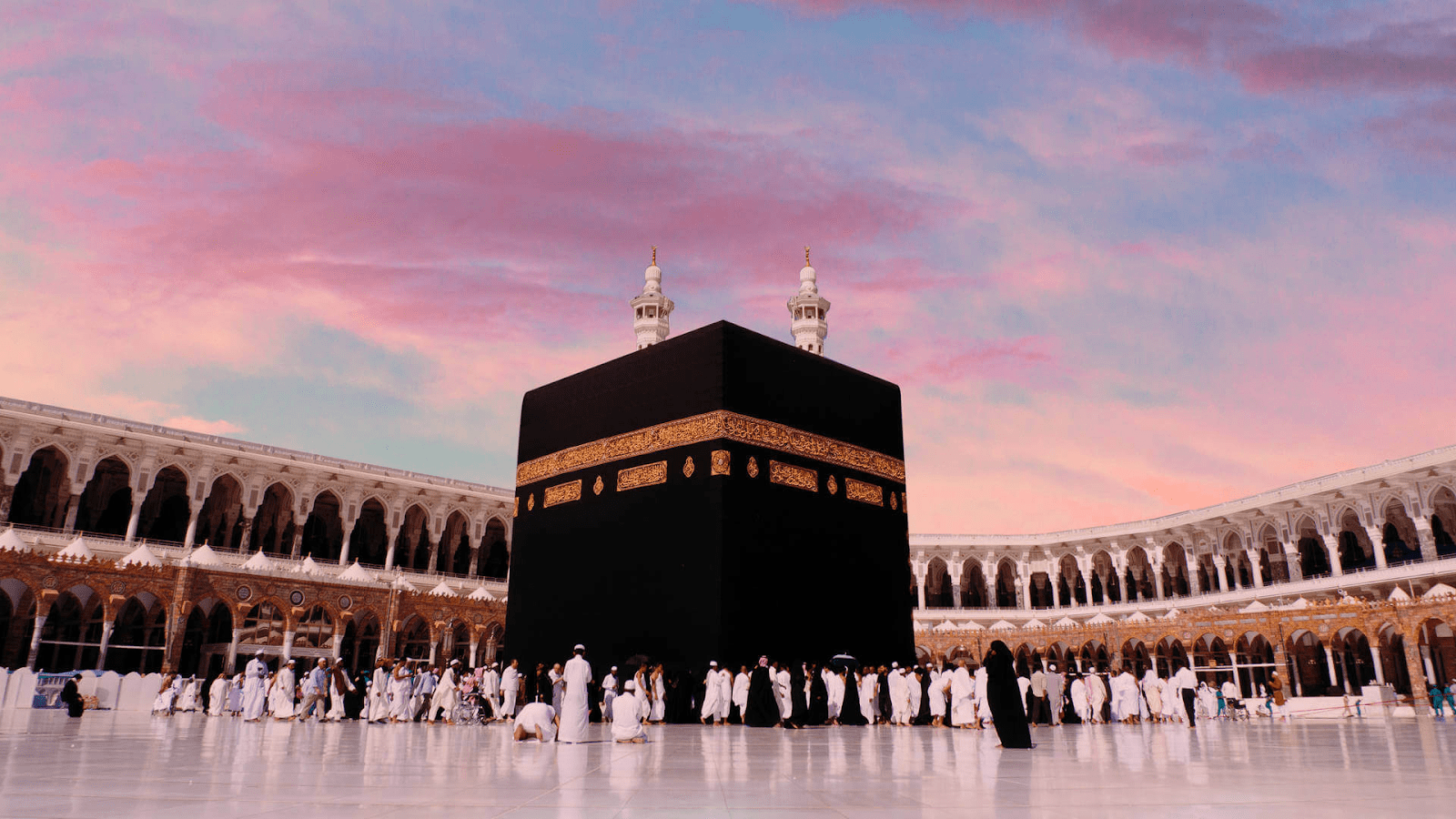 معرض الصور