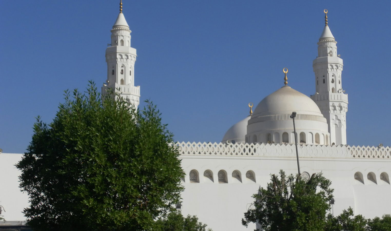 معرض الصور